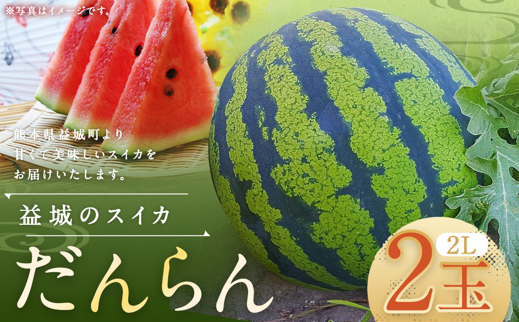 
            熊本県 益城町 スイカ だんらん 2玉  (2玉×2L) 計約14kg 【2025年6月下旬迄発送予定】
          