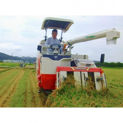 ふるさと納税 三条市 新之助人生応援米10kg(5kg×2) 令和7年産 新之助 白米 【024S033】 |  | 02