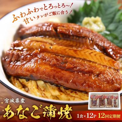 ふるさと納税 石巻市 宮城県産あなご蒲焼(1食)12入 12回定期便 冷凍 小分け 穴子 アナゴ 蒲焼き 魚 お魚