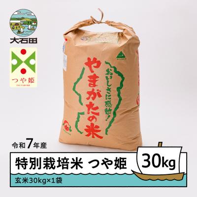 ふるさと納税 大石田町 米 つや姫 30kg 令和7年産 【2026年5月下旬発送】山形県産 特別栽培米 玄米
