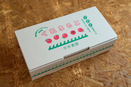 フルーツミニトマト『くれまるこ』2.4kg