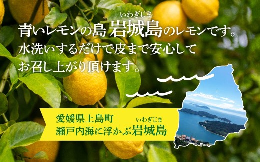 青いレモンの島　貯蔵蔵出しレモン約1kg【お試しセット】(冷蔵便発送)【配送不可地域：離島】