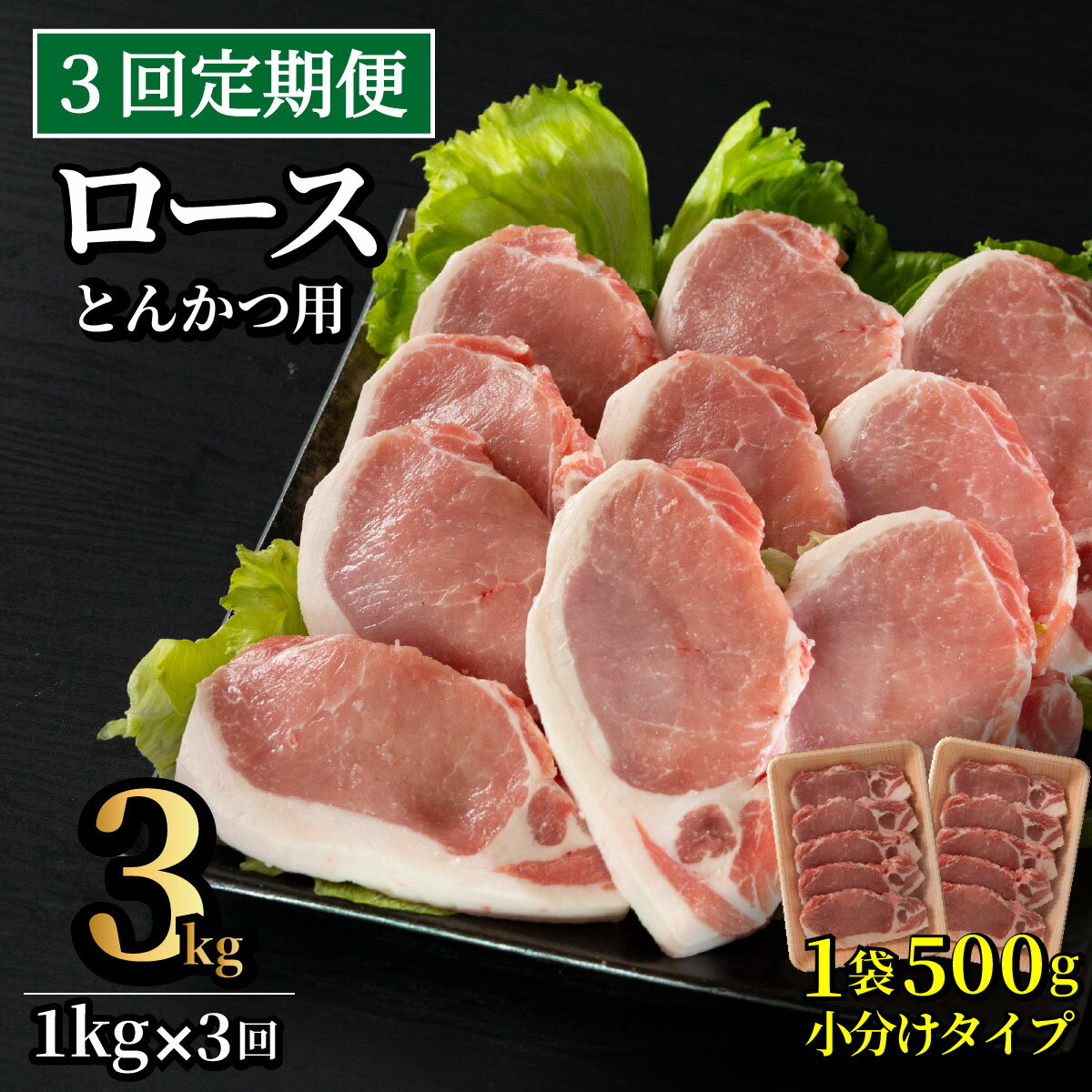 【ふるさと納税】《定期便》長崎県産豚 ロースとんかつ用計1kg(100g×5枚)×2 【3回お届け】