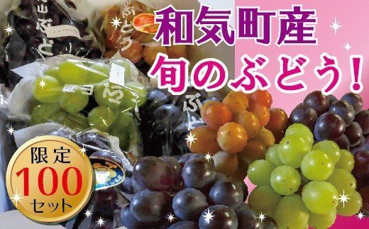 【ふるさと納税】ニューピオーネと旬のぶどう2.0kg　BS-26