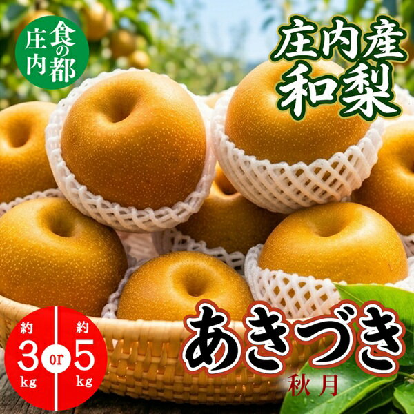 【ふるさと納税】選べる内容量（3kg・5kg）食の都庄内　【令和8年産】庄内産和梨【あきづき】　※令和8年9月中旬～10月中旬配送（株式会社　三枡屋）