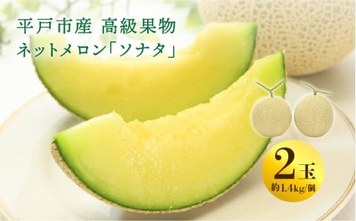 【11月上旬～11月中旬頃お届け】＜先行予約＞【ていねいに育てた高級果物】平戸市産 ネットメロン「ソナタ」2玉（約1.4kg以上/玉） [KAB097_2511]メロン めろん 果物 フルーツ 甘い 旬 通販 お取り寄せ ギフト プレゼント 高級 みずみずしい