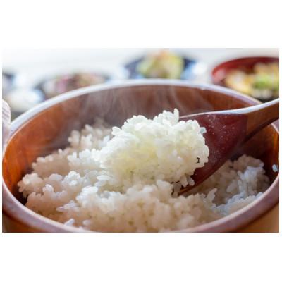 ふるさと納税 十日町市 特栽コシヒカリ&新之助　各5kg×1セット(精米) |  | 01