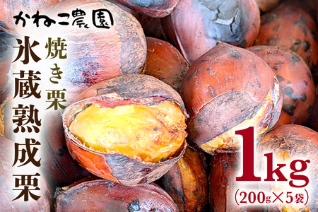 笠間の栗・かねこ農園の焼き栗 200g×5袋 栗 クリ くり 焼栗 茨城県 笠間市 JO-011