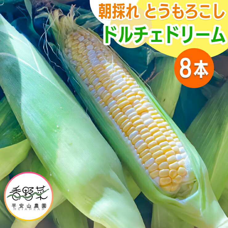 【ふるさと納税】[期間限定] 朝採れ とうもろこし ドルチェドリーム 平安山農園【6月発送】｜旬 新鮮 野菜 トウモロコシ 直送 甘い 高糖度 人気 お取り寄せ 袖ケ浦 房総 千葉 [0393]