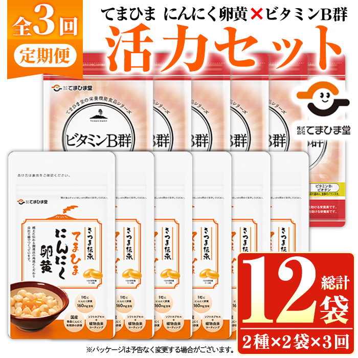 No.1298-A ＜定期便・全3回(隔月)＞活力セット(てまひま にんにく卵黄・ビタミンB群/各2袋×3回 計12袋) 鹿児島 日置市 ニンニク 健康食品 栄養 カプセル 安全安心【てまひま堂】