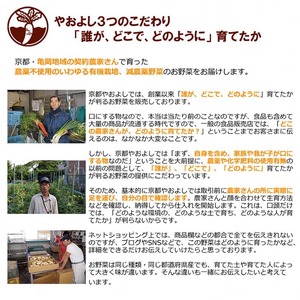 【1回】野菜詰め合わせ ＆ 卵 10個 有機野菜・京野菜の『京都やおよし』｜野菜 玉子 たまご 京都産 オーガニック 有機JAS 農薬不使用 減農薬 野菜セット※北海道・沖縄・離島への配送不可