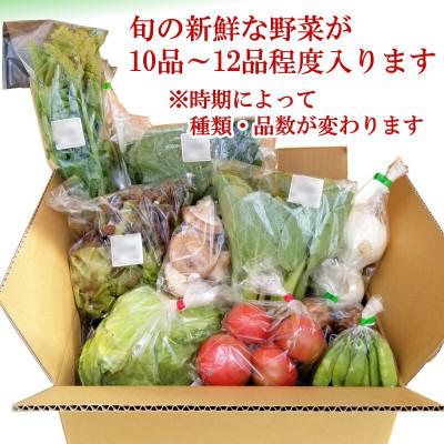 ふるさと納税 北広島町 【毎月定期便】【毎月届く】季節野菜 道の駅直送おまかせセット さんさん市全3回 |  | 01