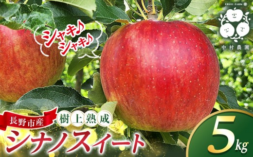 
                  フルーツファーム中村農園　【10月中旬発送 先行予約】樹上熟成　シナノスイート 5kg |  りんご シナノスイート 林檎 人気 おすすめ 果物 フルーツ 贈答用 ギフト 送料無料 長野県 長野市 信州 信濃 ふるさと納税
                