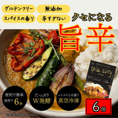 【ふるさと納税】発酵スパイスカレー6個 ★5種のスパイスと白山麓のW発酵 芳醇な香り&クセになる旨辛 グルテンフリー【配送不可地域：離島】【1376653】