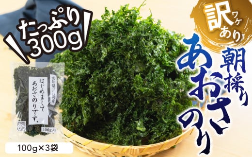 訳あり あおさ 300g 100g×3袋 簡易包装 愛知県 三河湾産 「はじめまして あおさのり です。」あおさ海苔 海苔 味噌汁 みそ汁 具 海藻類 アオサ 訳アリ 大容量 送料無料 国産 食品 田