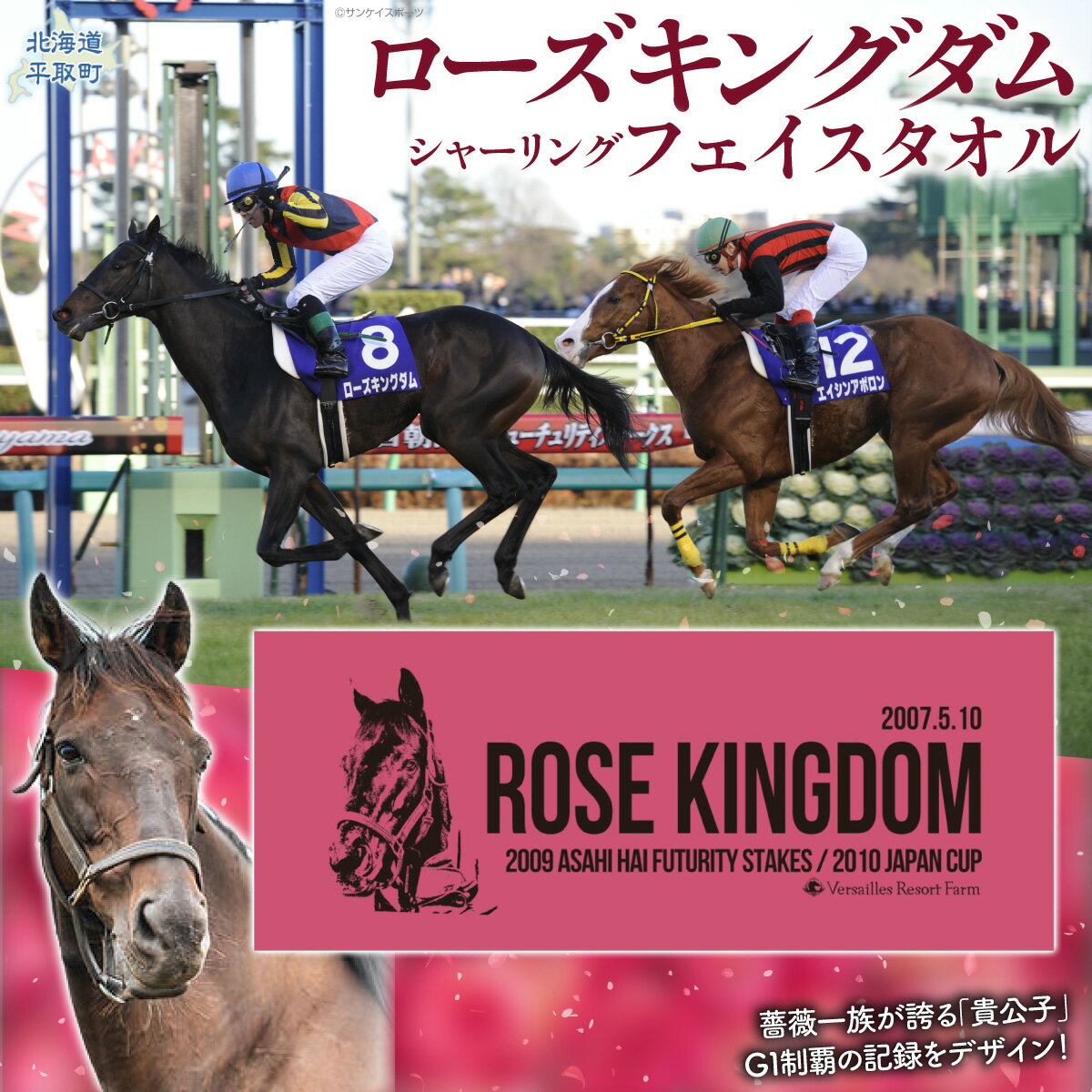 【ふるさと納税】【ローズキングダム】シャーリングフェイスタオル 【ふるさと納税 人気 おすすめ ランキング 馬 競馬 競走馬 引退馬 ローズキングダム タオル シャーリングタオル 生活用品 日高 北海道 平取町 送料無料】 BRTV254