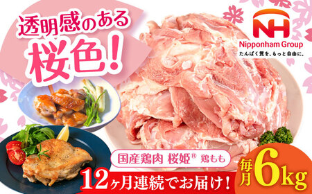 【全12回定期便】桜姫 鶏もも 計6kg （2kg×3パック）【東日本フード株式会社】 国産 鶏 とり肉 もも もも肉 鶏もも 冷凍 北海道 [AXBM040]