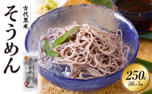 古代黒米そうめん | 麺類 そうめん 素麺 麺 特産品 古代米 黒米 黒米そうめん お取り寄せ ご当地 グルメ 宮崎県 高千穂町 |_Tk005-108