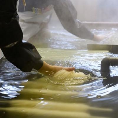 ふるさと納税 桜井市 【TV番組で紹介されました】国産はるさめ　150g×12個セット |  | 02