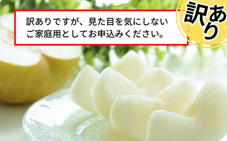 【訳あり 梨 20世紀梨 5kg（10～18玉）】9/9が最終受付です サイズバラつき有り（L～5L）農家応援 傷あり 不揃い ご家庭用 大人気 二十世紀梨 果肉はしっかり シャキシャキの食感 ほどよ