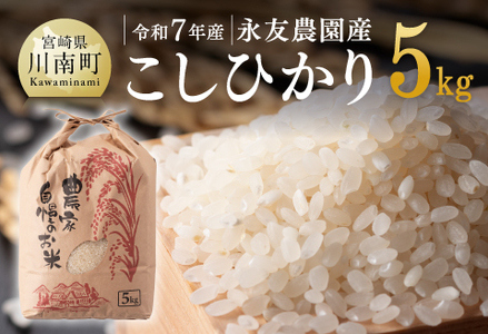 【令和7年産】永友農園産「こしひかり」5kg 【 米 お米 白米 精米 国産 宮崎県産 コシヒカリ 】