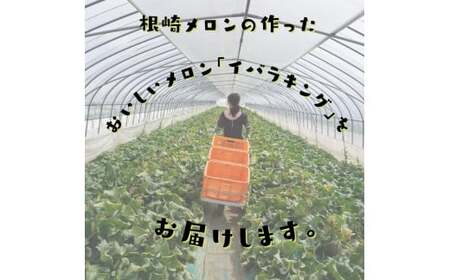 【訳あり】イバラキングメロン（大）2玉（約3kg以上）