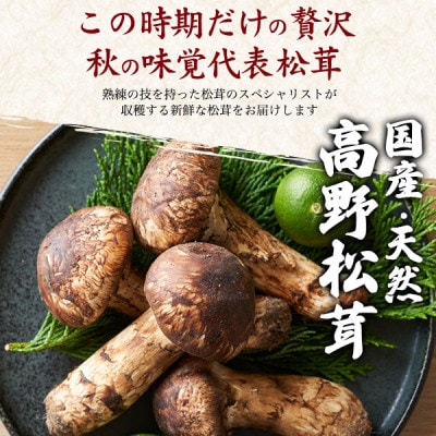 国産　天然高野松茸　約200g【配送不可地域：離島・北海道・沖縄県】