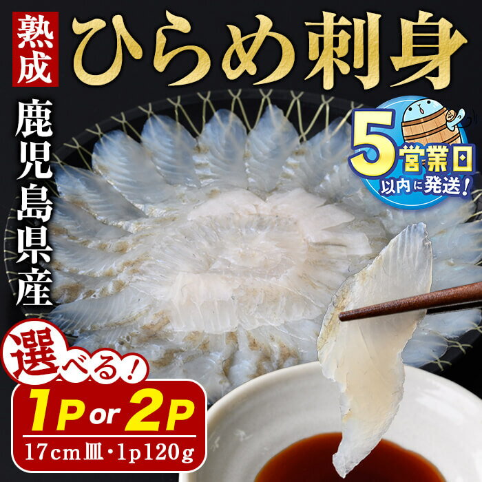 【ふるさと納税】＜水産庁長官賞受賞＞＜すぐ届く！＞【内容量が選べる】鹿児島県産 熟成ヒラメ刺身 17cm皿 計120g(1P) or 計240g(120g×2P) 冷凍 魚 魚介 海鮮 ヒラメ ひらめ 平目 刺身 さし身 養殖 国産 鹿児島 垂水 【有限会社 森水産】