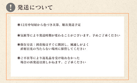 徳村の訳ありぽんかん Lサイズ ＜10kg＞国産 東洋町産 訳アリ 甘い コク ジューシー 果肉 高知県 東洋町 四国 お取り寄せ フルーツ 果物 家庭用 自宅用 送料無料