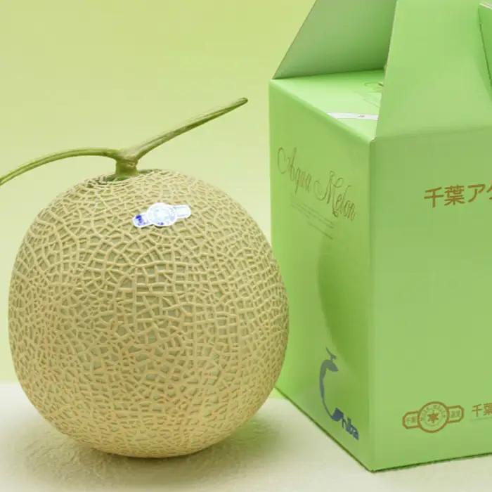 【定期便】高橋メロン農園『千葉アクアメロン』M玉以上 2個 × 6回発送 [0100-0036]