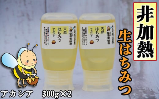 簗場養蜂場 非加熱 生はちみつ アカシア 300g 2本 ／ はちみつ 蜂蜜 ハチミツ 国産 【あねっこ】