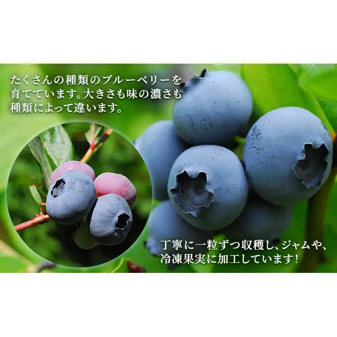 手作りジャムセット 【ブルーベリー】 2個 北海道 南富良野町 ジャム ブルーベリー ソース 果実 ベリー