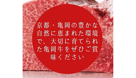 亀岡牛サーロインステーキ 2枚 訳ありステーキ