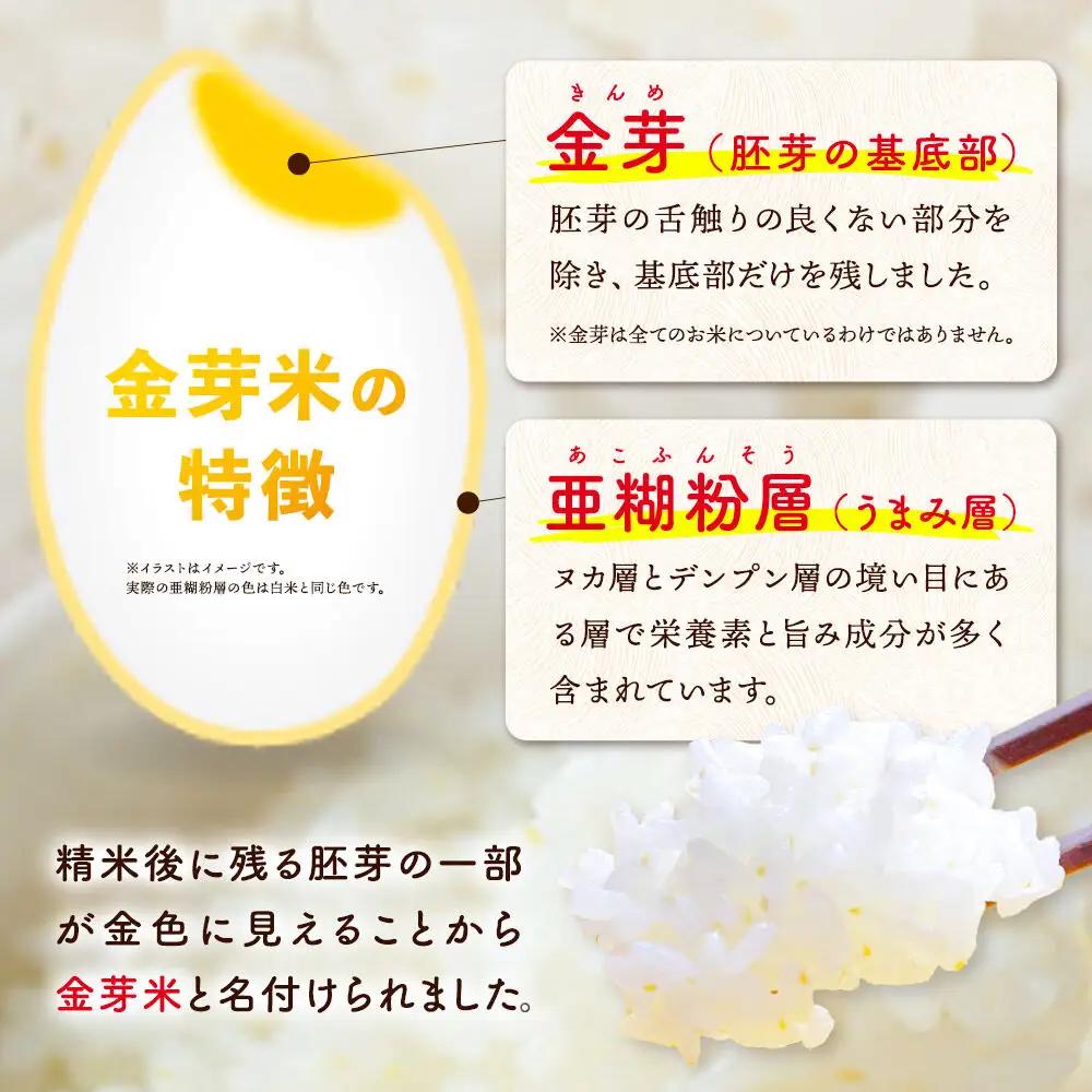 【令和7年産 白米】金芽米 サキホコレ 10kg（5kg×2袋） 玄米の栄養を残した白米 とがずに簡単炊飯 きんめまい
