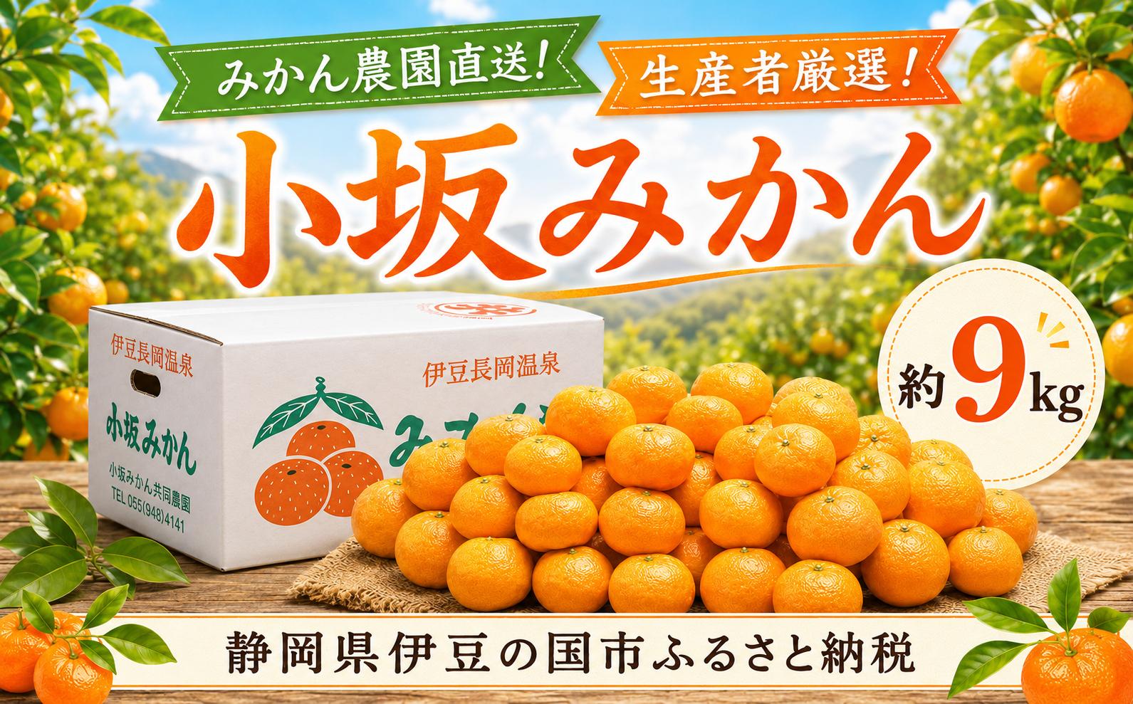 
                  【先行予約・数量限定】みかん農園直送！生産者厳選「小坂みかん」（約9kg）| 果物 フルーツ ミカン 蜜柑 温州 おまかせ 期間限定 産地直送 静岡県 伊豆の国市 
                