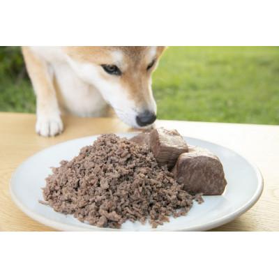 ふるさと納税 鷹栖町 山恵　わんdeereフル　エゾ鹿肉のわんちゃん手作りごはんセット SA104