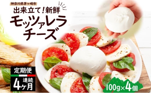 4ヶ月定期便 出来立て新鮮 モッツァレラチーズ100g × 4個セット 茅ヶ崎産 チーズ モッツァレラ 手作り Osteria e Bottega S 神奈川県 湘南 茅ヶ崎市 フレッシュチーズ