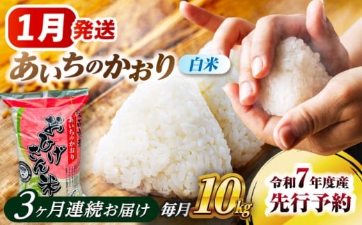 【3回定期便】 【1月発送開始】  あいちのかおり 白米 10kg×3ヵ月 愛西市 / 脇野コンバイン  米 お米 コメ [AECP007-1]