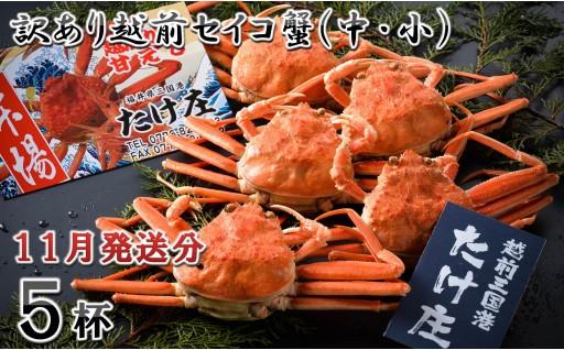 【電話連絡で安心】訳あり≪茹で≫越前セイコ蟹(中・小) 5杯【2026年11月発送分】 [F-1601_11]