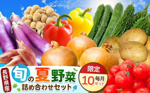 天龍村の旬の夏野菜（農産物）詰め合わせセット 令和8年8月～9月配送予定 | 食品 農産物 野菜 夏野菜 詰合せ 長野県 天龍村 信州