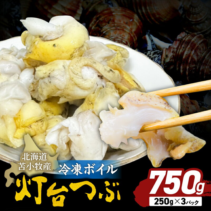 【ふるさと納税】 北海道苫小牧産 冷凍ボイル 灯台つぶ 3パック入 計750g つぶ 貝 むき身 刺身 炉端焼き 煮付け 串焼き 冷凍 ボイル 栄養豊富 魚介 貝類 処理済 マルマサ 恵千フーズ 北海道 苫小牧市 おすすめ ランキング プレゼント ギフト