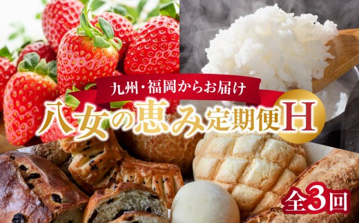 九州・福岡からお届け！八女の恵み定期便【全3回】H