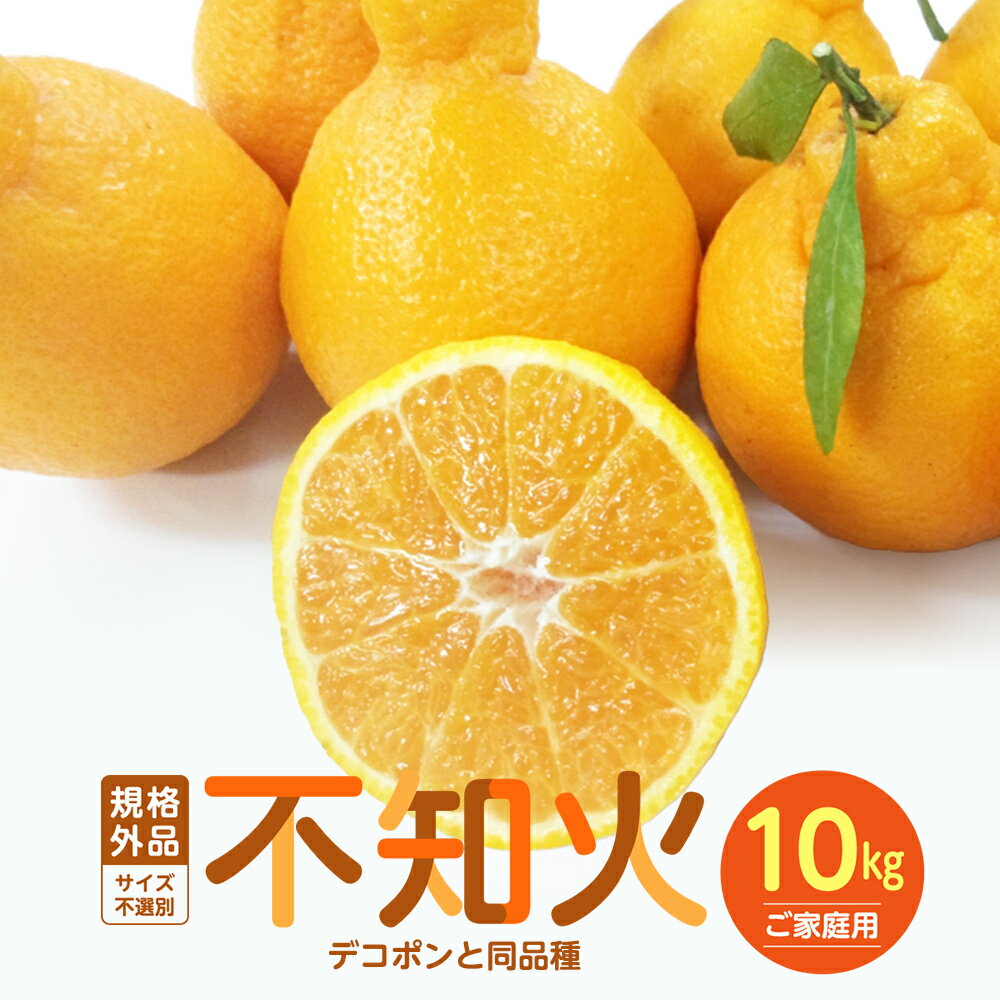 【ふるさと納税】 【規格外品】不知火 ご家庭用 10kg サイズ不選別 訳あり デコポン みかん フルーツ 果物 柑橘 熊本県産 九州産 先行予約 送料無料【2026年1月下旬～3月下旬迄発送予定】