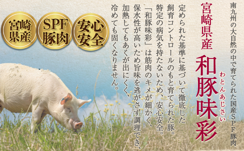 ＜【3回隔月定期便】宮崎県産豚肉切り落とし 約3.5kg(250g×14)＞ 定期便 国産 宮崎県産 精肉 脂身 赤身 料理 普段使い 小分け 便利 小間切れ 豚こま 豚コマ 豚小間 お肉 冷凍保存 