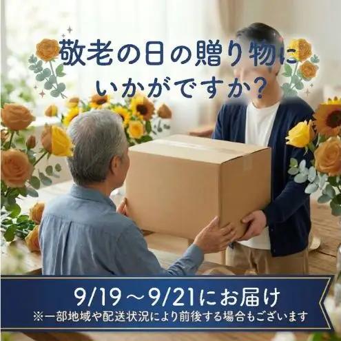 敬老の日ギフト エリエール トイレットティシュー フラワープリント コンパクト 8ロール×12（ダブル） 8ロール×12 合計96ロール 日用品 消耗品 生活用品 トイレ トイレットペーパー 静岡県 