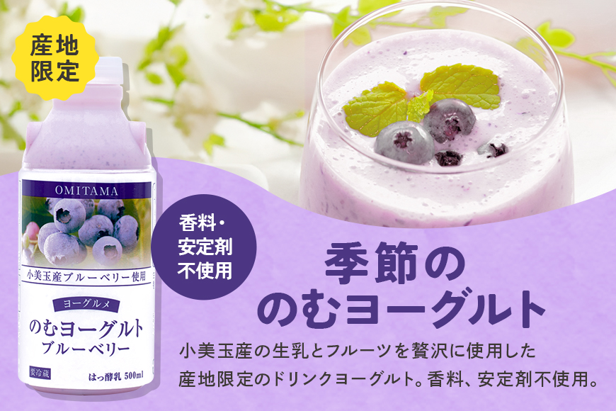 【2回定期便】 おみたまドリンクヨーグルトセット 500ml×6本×2回 1-I