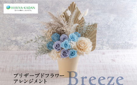 プリザーブドフラワーアレンジメント Breeze 花 ギフト ドライフラワー インテリア アレンジ フラワー【株式会社日比谷花壇】 [AKBO013]