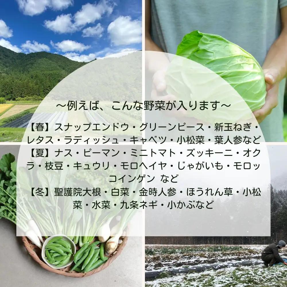 【よしだのはたけ】旬の野菜10品 やさいBOX 京都 農家直送 野菜