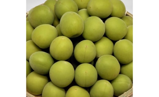 
                  ［梅酒・梅ジュース用］紀州南高梅２ｋｇ（３Ｌサイズ）
                