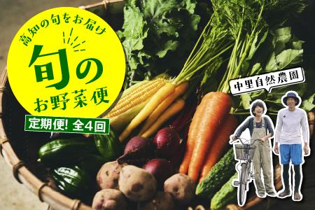 【定期便全4回】高知の旬をお届け「中里自然農園・旬のお野菜便」 定期便 野菜 セット 野菜の詰め合わせ 8?10種類 高知 新鮮 農薬不使用 化学肥料不使用 安心 旬 野菜 フレッシュ